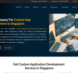 Custom App Development Services in Singapore | Zencode